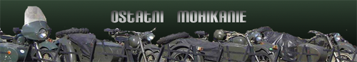 mohikanie